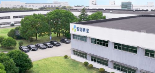 以蘋(píng)果為生的技術(shù)服務(wù)公司