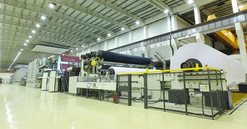 好品山東 晨鳴紙業(yè)，以“一張紙”的藝術(shù)與技術(shù)，書寫綠色智造新篇章